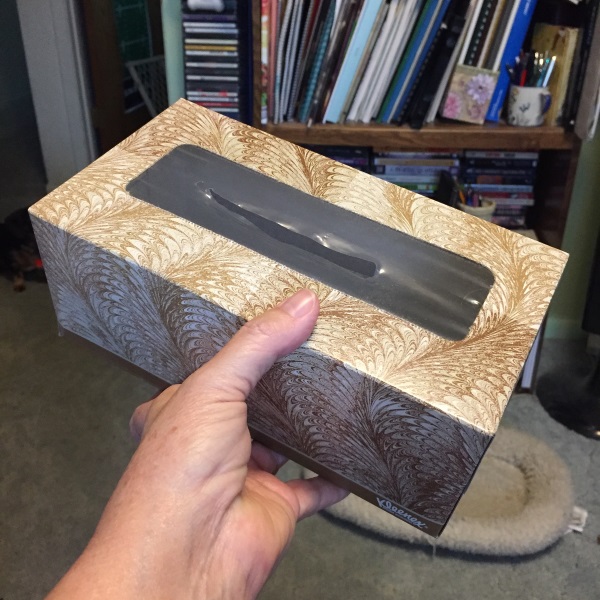 Kindergarten and Mooneyisms 5 Things You Can Do With an Empty Tissue Box