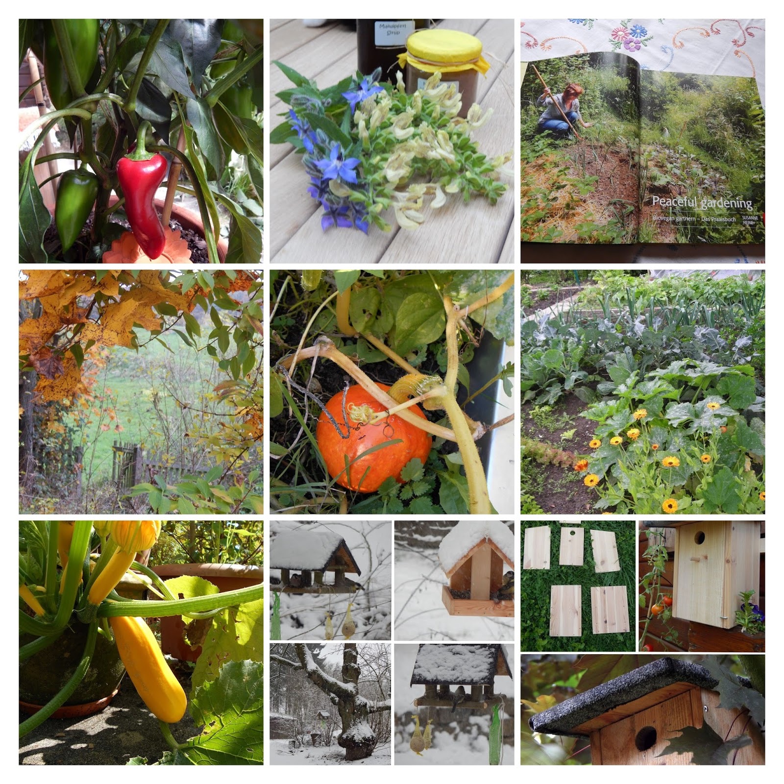 Reisbluete veganblog Der biovegane & tierfreundliche Garten ( nicht