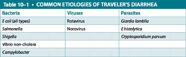 common etiologies of traveler's diarrhea