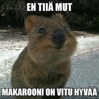 Kuva