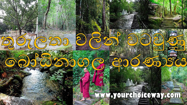 තුරුලතා වලින් වටවුණු - බෝධිනාගල ආරණ්‍යය 🙏 (Bodhinagala Forest Hermitage) - Your Choice Way