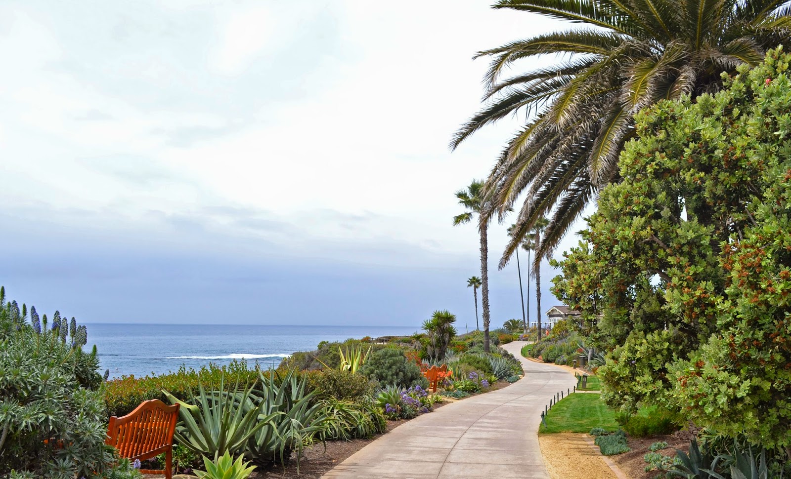 Fashion and beauty blogger Michelle Kehoe of Mash Elle shares the best locations for photoshoots in Laguna Beach, California Mash Elle beauty blogger travels to Laguna Beach | what to do in Laguna beach | California travel | trip to California | Laguna Hills