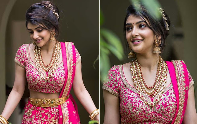 Sree Leela Hot Heroine Pelli SandaD Movie, Sreeleela Most Beautiful Photos iiQ8