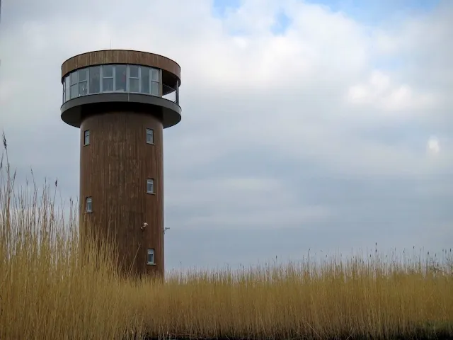 Day Trip from Dingle Town to Tralee - Bird Hide Tower at Tralee Bay Wetlands