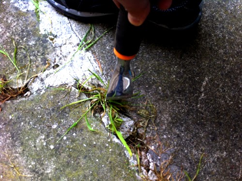 Your daily life tools: How to get rid of weeds on cement cracks