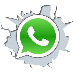 Программа для рассылки по whatsapp