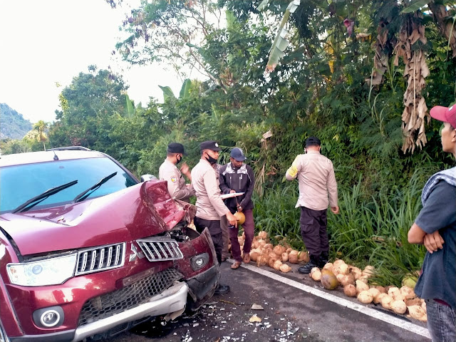 Pajero Yang Ditumpangi Anggota Dewan ini Hantam Chevrolet Bermuatan Kelapa, Penumpang Luka Pajero Yang Ditumpangi Anggota Dewan ini Hantam Chevrolet Bermuatan Kelapa, Penumpang Luka