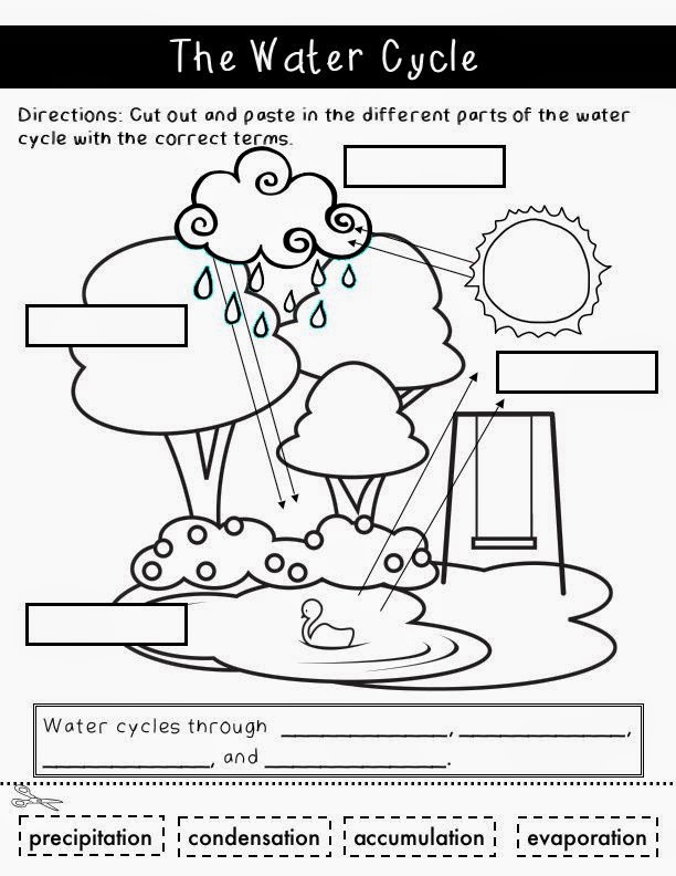 BC curriculum primary science activities