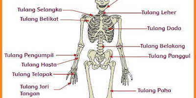 Tulang Jambal Roti, Kuliner Pangandaran yang Menggugah Selera