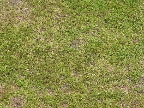 How Can I End the Death Grass Ground ?