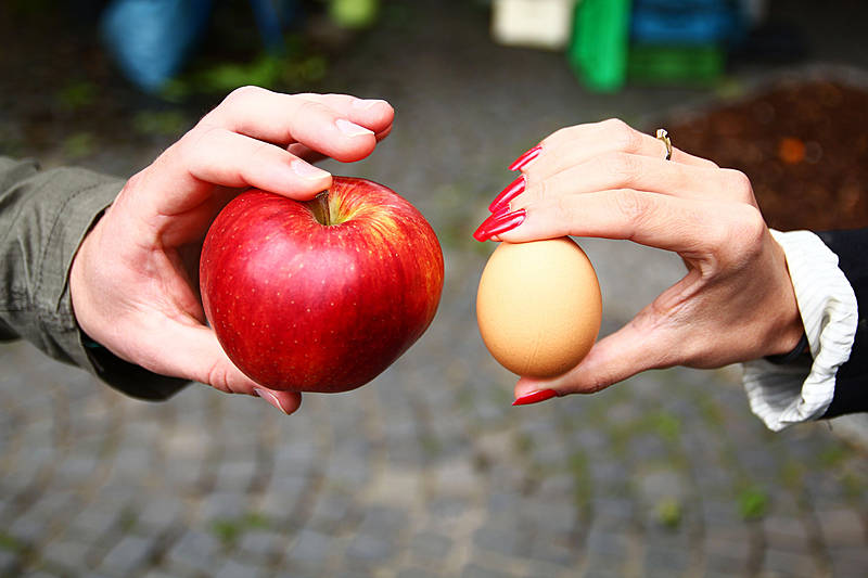 Traumzaubereien 2016