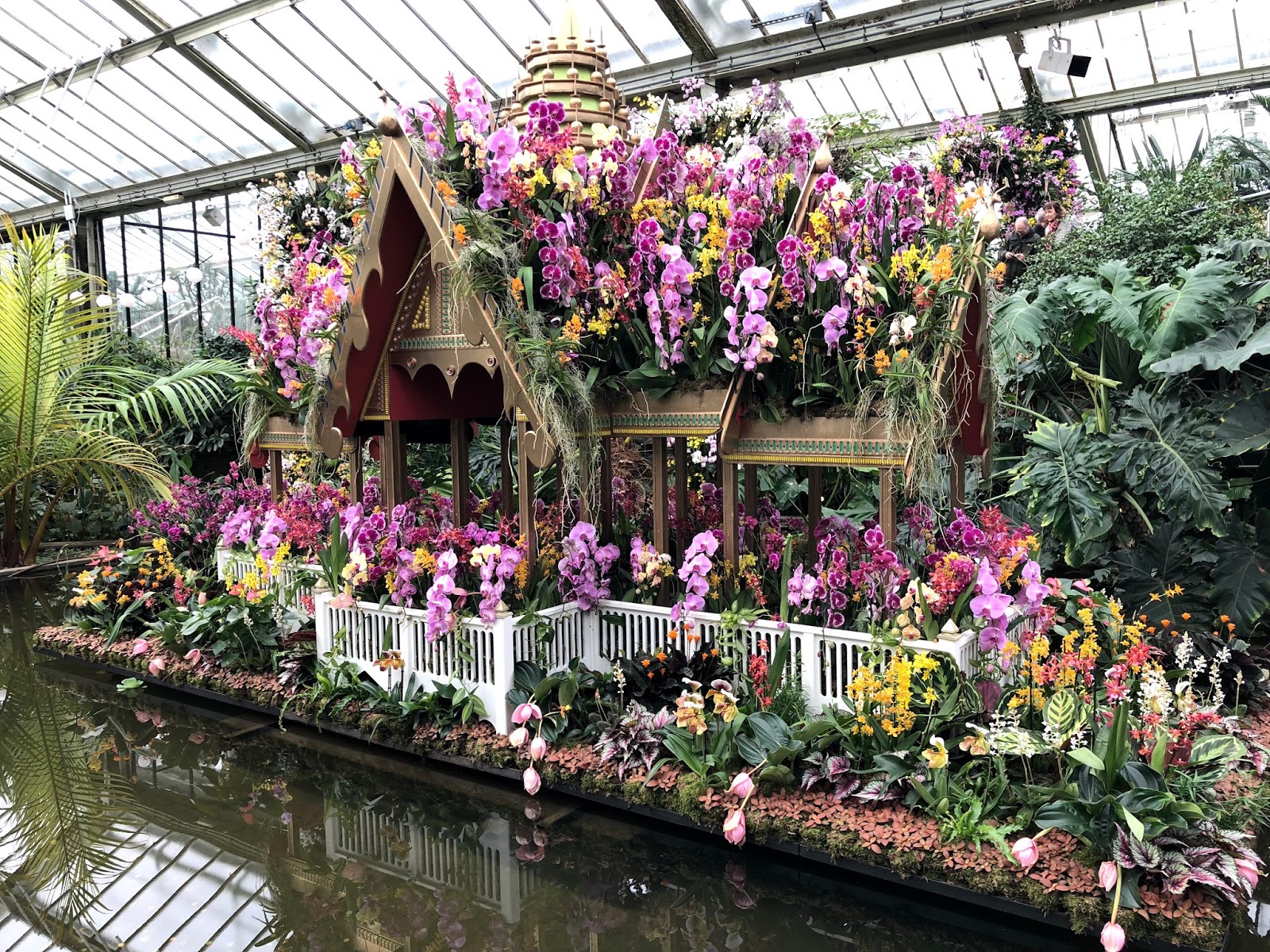 just saying Kew Gardens Orchid Festival