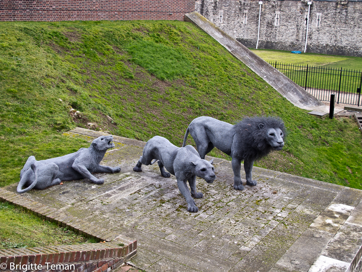 Sculptures... Les lions de la Tour de Londres (London Tower)
