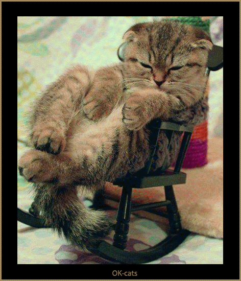 Art Cat GIF • Lazy kitty chilling in its small rocking chair like a Boss Art Cat GIF • Lazy kitty chilling in its small rocking chair like a Boss
