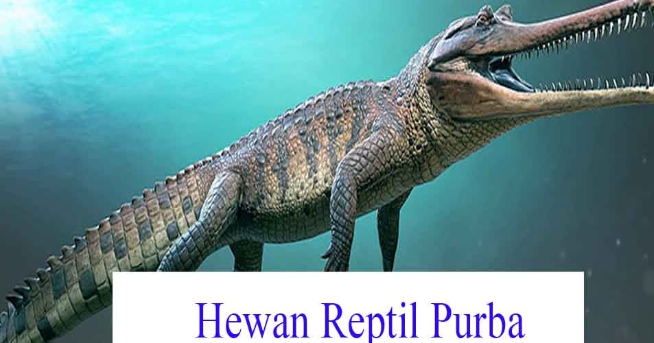 14 Jenis Hewan  Reptil  Purba dan Penjelasannya Hewan  Reptil 