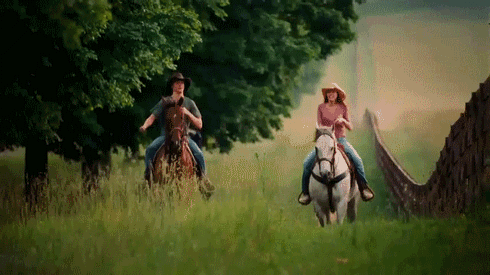 Resultado de imagem para andar de cavalo para trás gifs