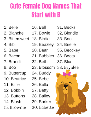 Cute Female Dog Names That Start with B