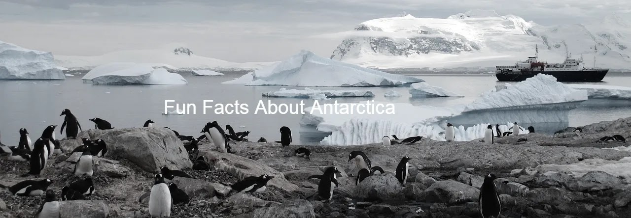 Fun Facts About Antarctica