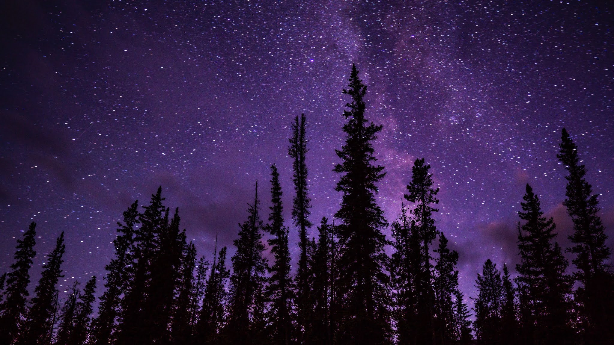 Wallpaper Night, Stars, Trees, Starry Sky