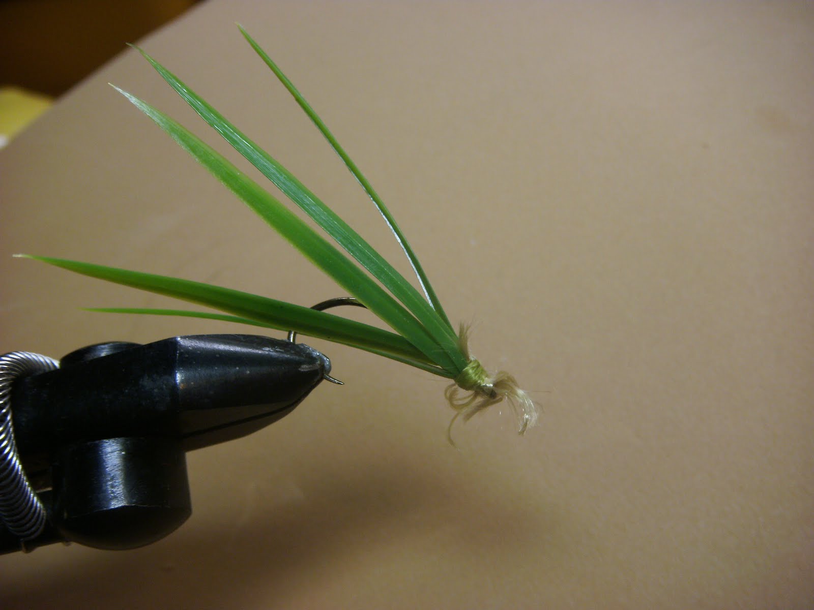 A Parrot Looks at 51 Some Grass Carp Flies