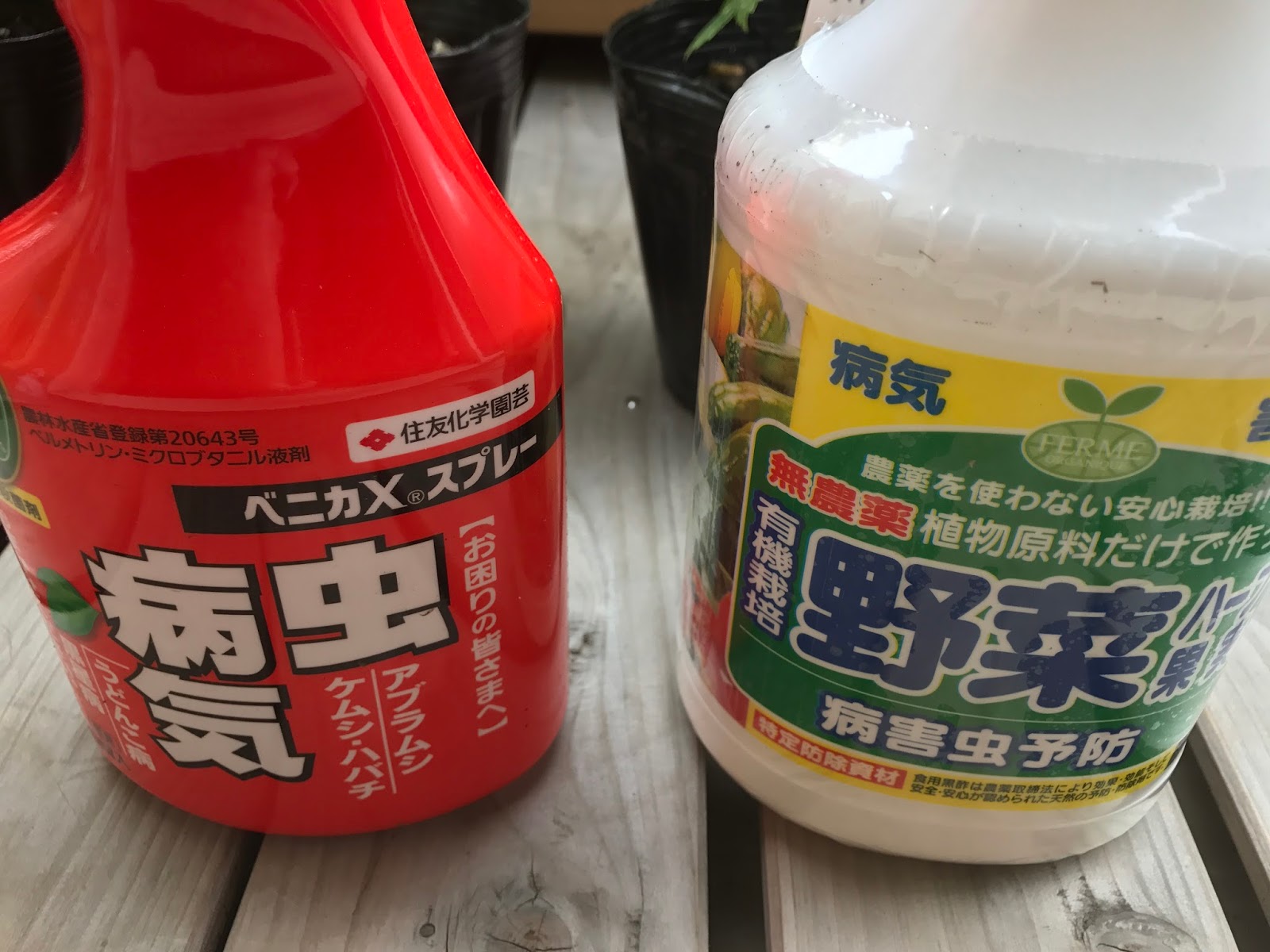 ホップを育ててみる その 虫と病気対策スプレー クラフトビア ギークス クラフトビール図鑑 ホップ 酵母 麦芽 醸造