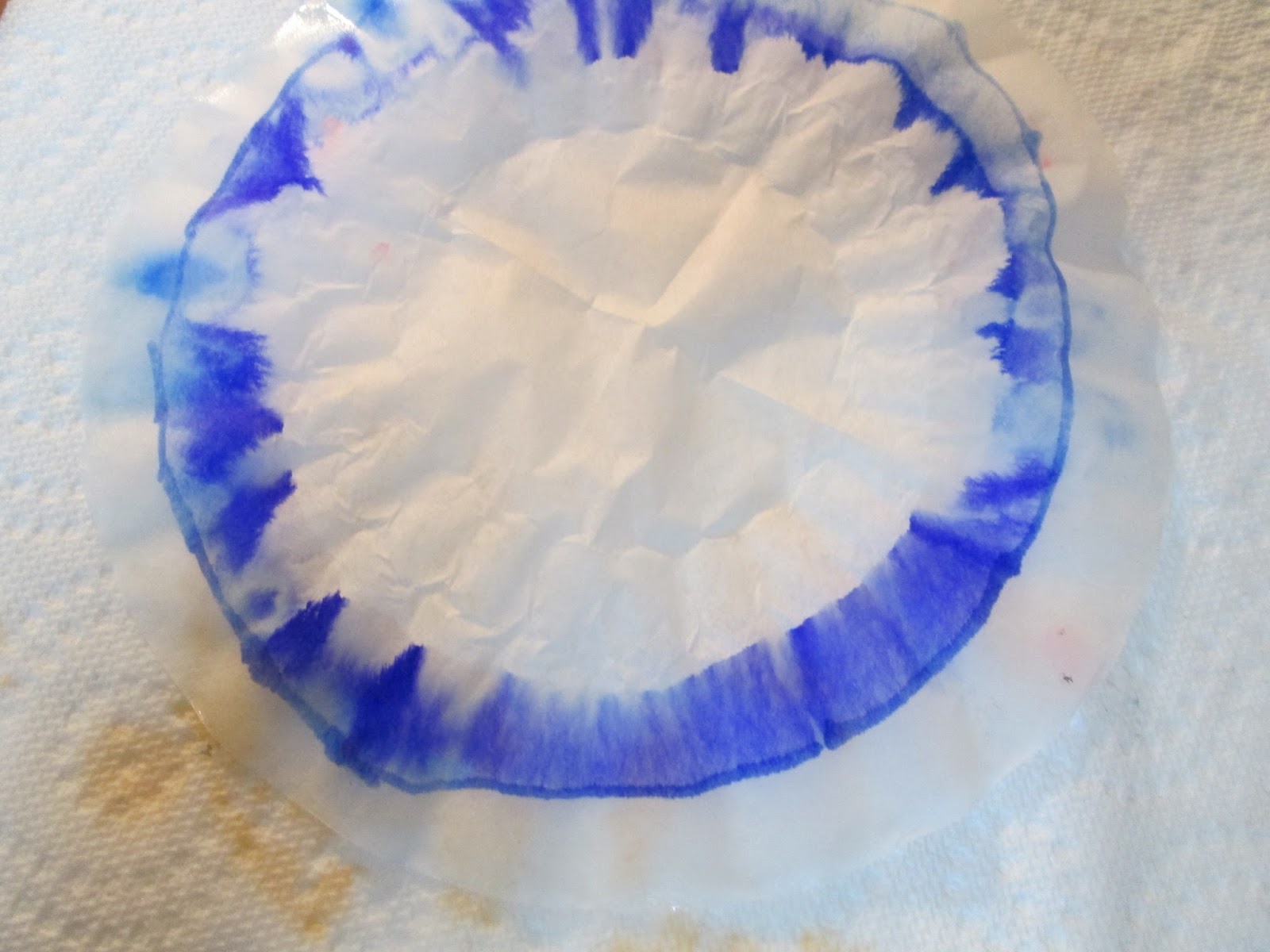 Science It's All Elementary Permanent Marker Chromatography