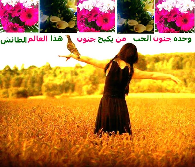 حلم - الشاعرة sarah Al Yasmin