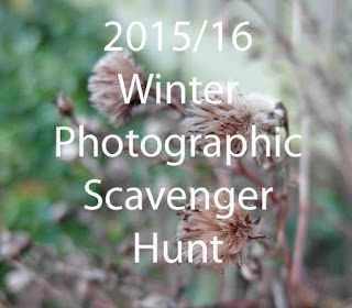 The Winter Photographic Scavenger Hunt