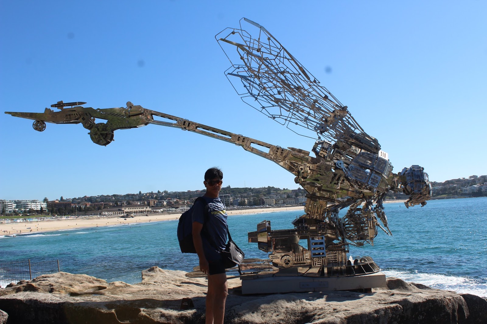 Sculpture by the Sea, Sydney, Australia DocDivaTraveller