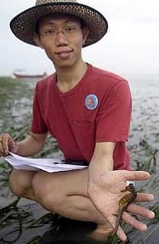 Johor Amazing Stories - Sea Horse