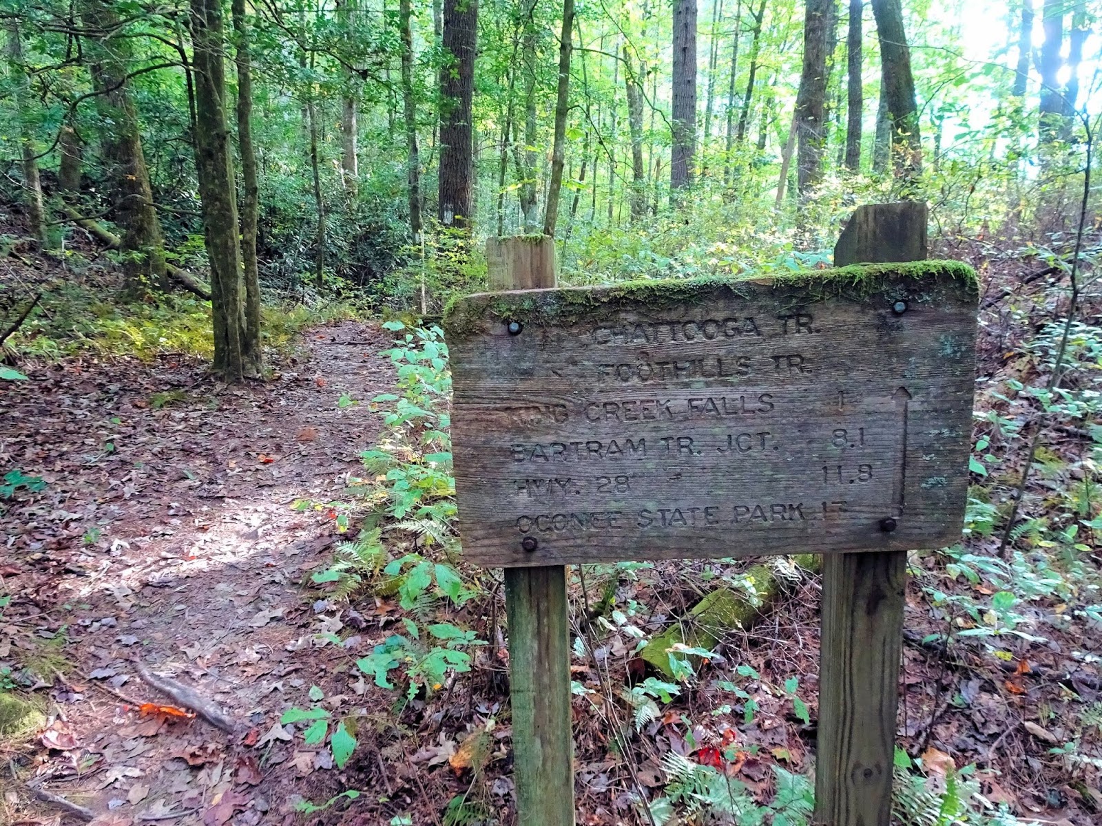 burrells ford campground
