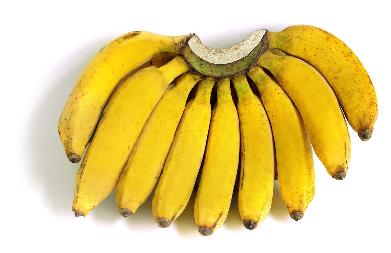 производители бананов. банан. красивый банан на белом фоне. рисунок бананов для детей. 9 бананов.