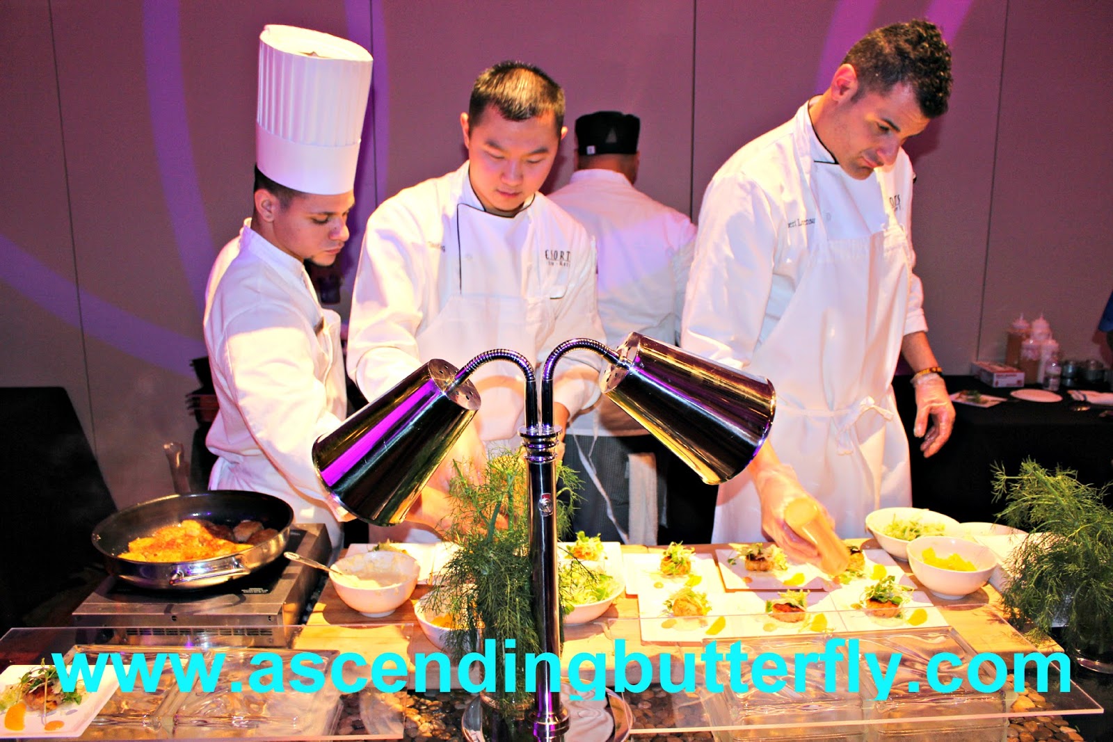 Ascending Butterfly Photo Highlights from Official Taste of 