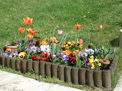 El Jardinero, plantas y flores: jardín