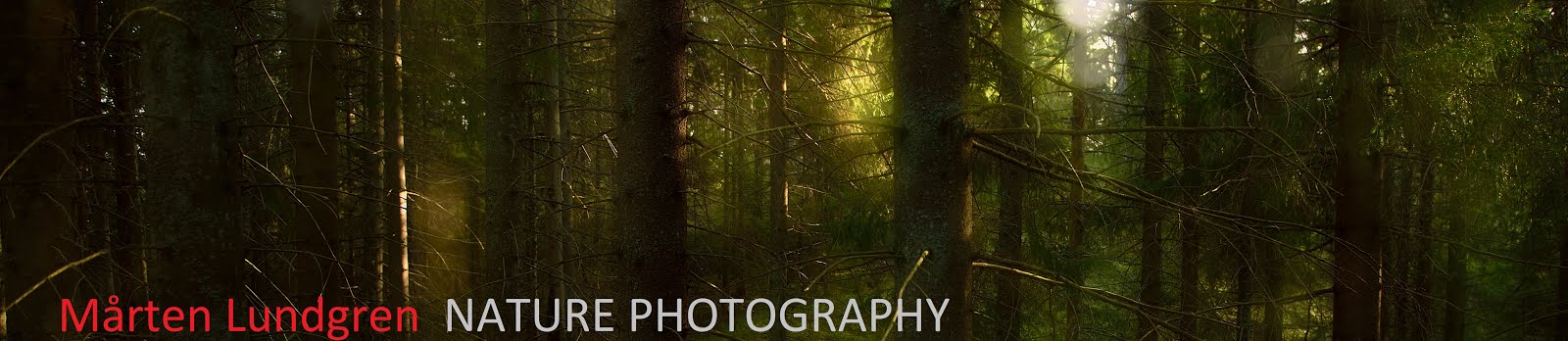 Mårten Lundgren NATURE PHOTOGRAPHY