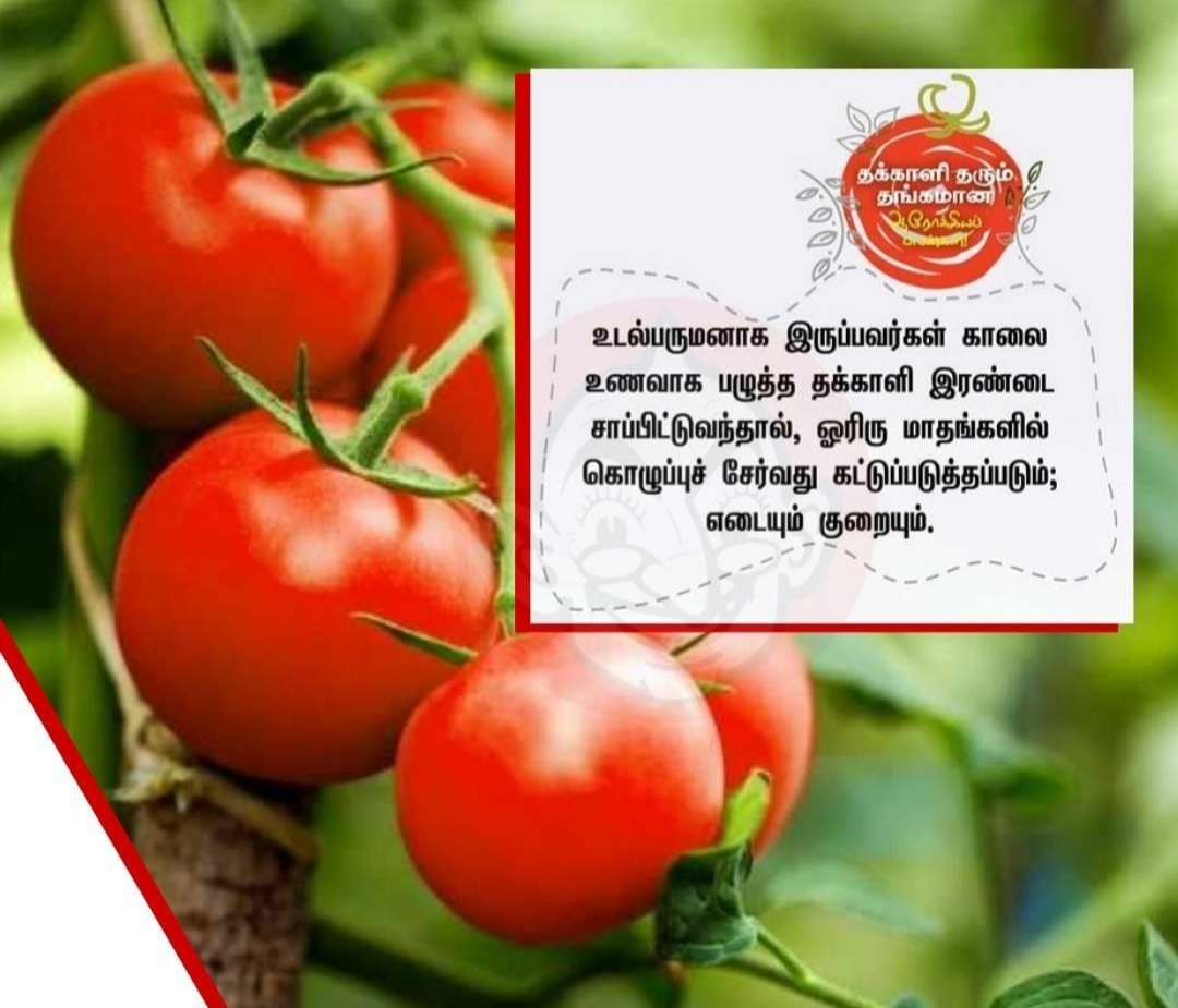 Best of TamilNadu Medicines,Naturals,Knowledge Tomato BenefitsNo.1