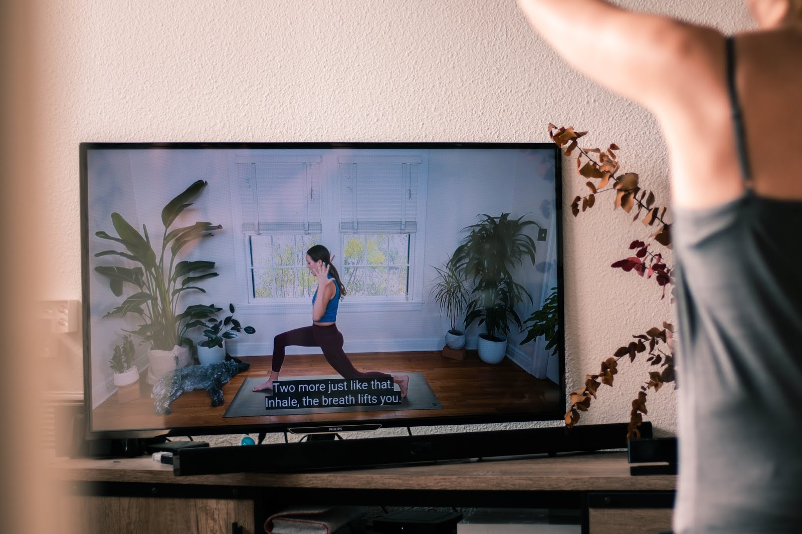 Yoga with Adrienne : home