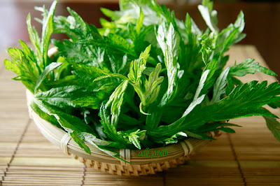 bài thuốc dân gian chữa bệnh gai cột sống