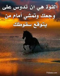 صور حلوه