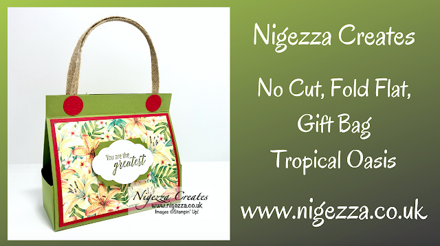 Nigezza Creates with Stampin' Up! Tropical Oasis No Cut, Fold Flat, Gift Bag
