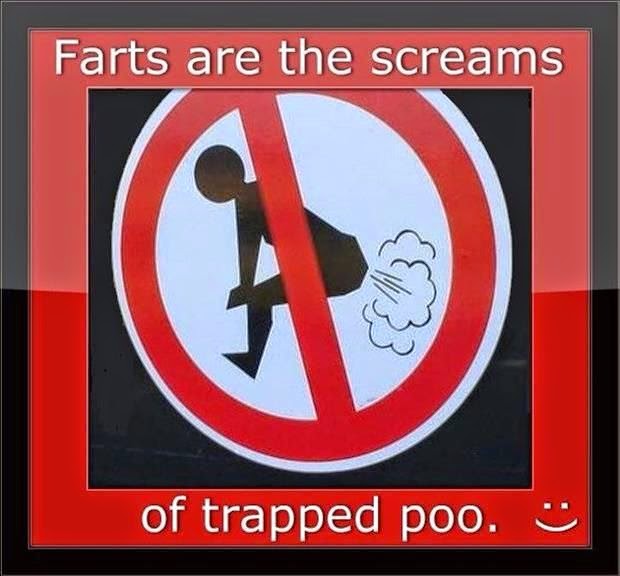 Funny Fart Memes, Gifs, Pics, Jokes, Videos, Stories, Pranks, Quotes
