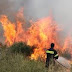 Θεσπρωτία:Υπο μερικό έλεγχο η φωτιά στο Γαρδίκι 