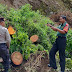 Danramil 0824/06 Ledokombo Bersama Instansi Terkait Cek Tanah Longsor