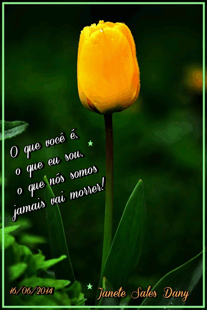 Dany: O que voc\u00ea \u00e9, o que eu sou, o que n\u00f3s somos jamais vai morrer!