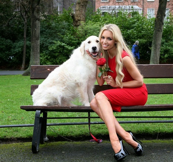 7 Reasons Why Should We have Pets MirrorShow Face Your Own Face