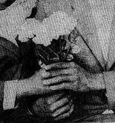 Imagenes De La Psiquiatria 355 Los Enamorados Suicidas Del Sisga De Insolita Psiquifoto A Icono Del Pop