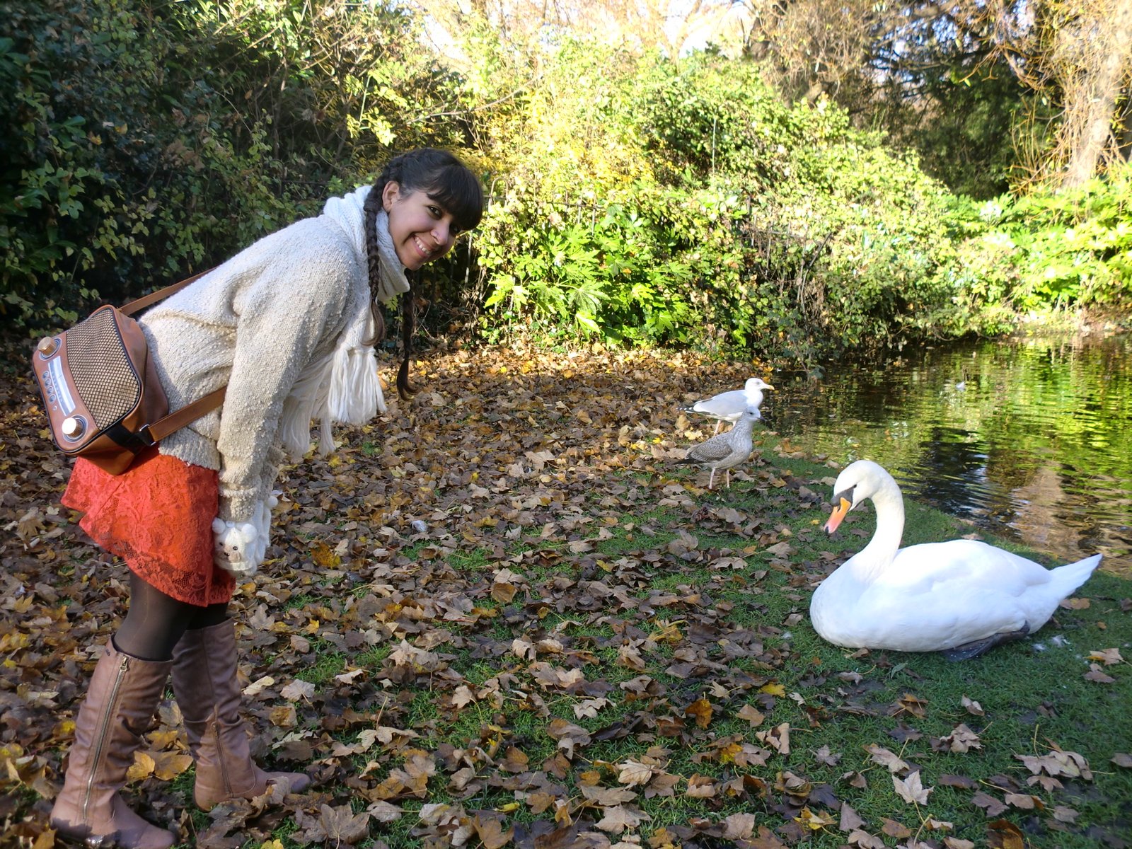Soplando dientes de león: St Stephen's green park