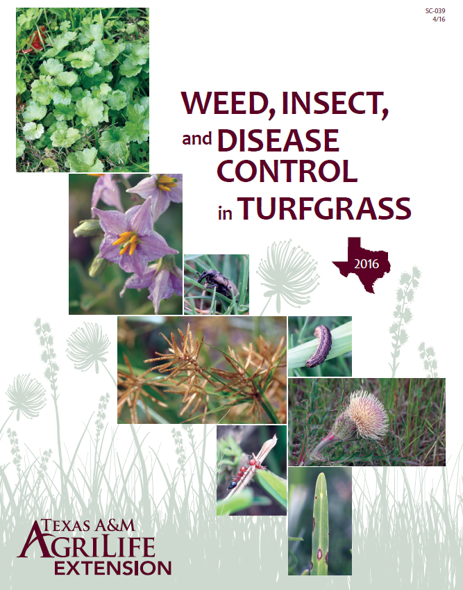 Insects in the City New resource for managing turfgrass pests
