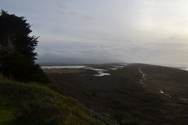 Eel River estuary