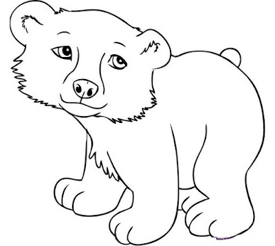 Desenhos de animais para colorir